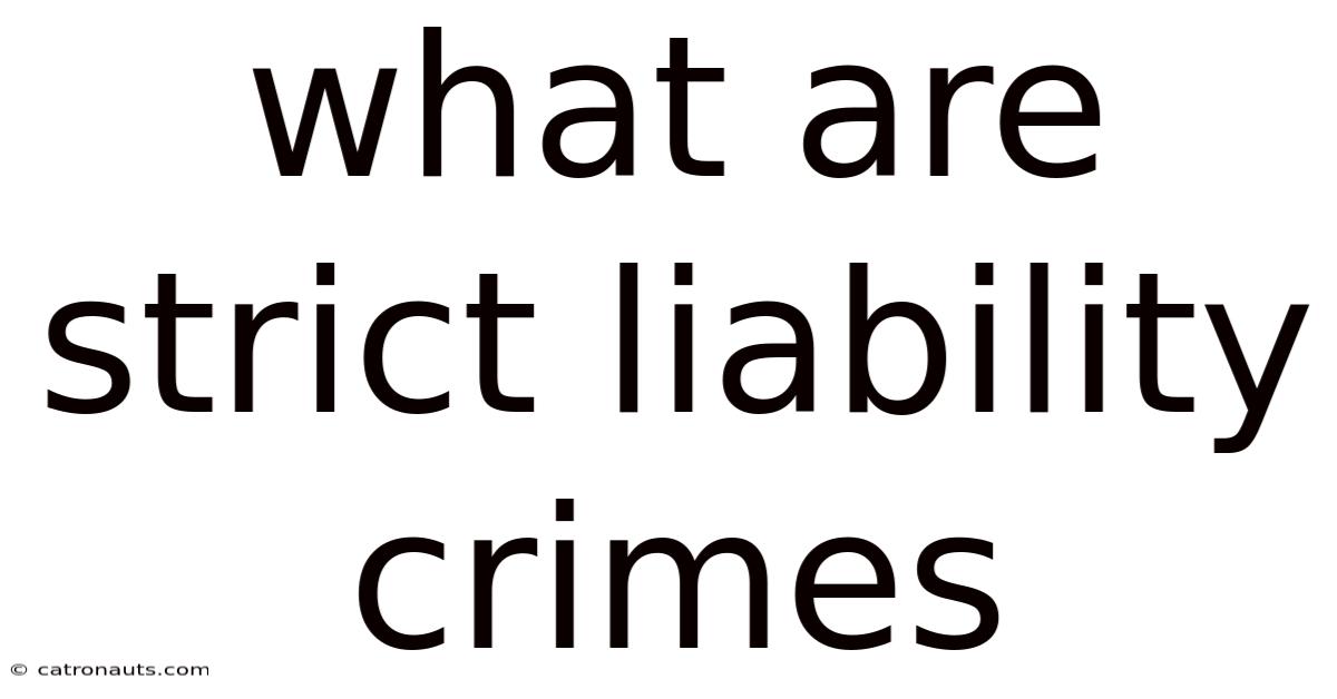 What Are Strict Liability Crimes