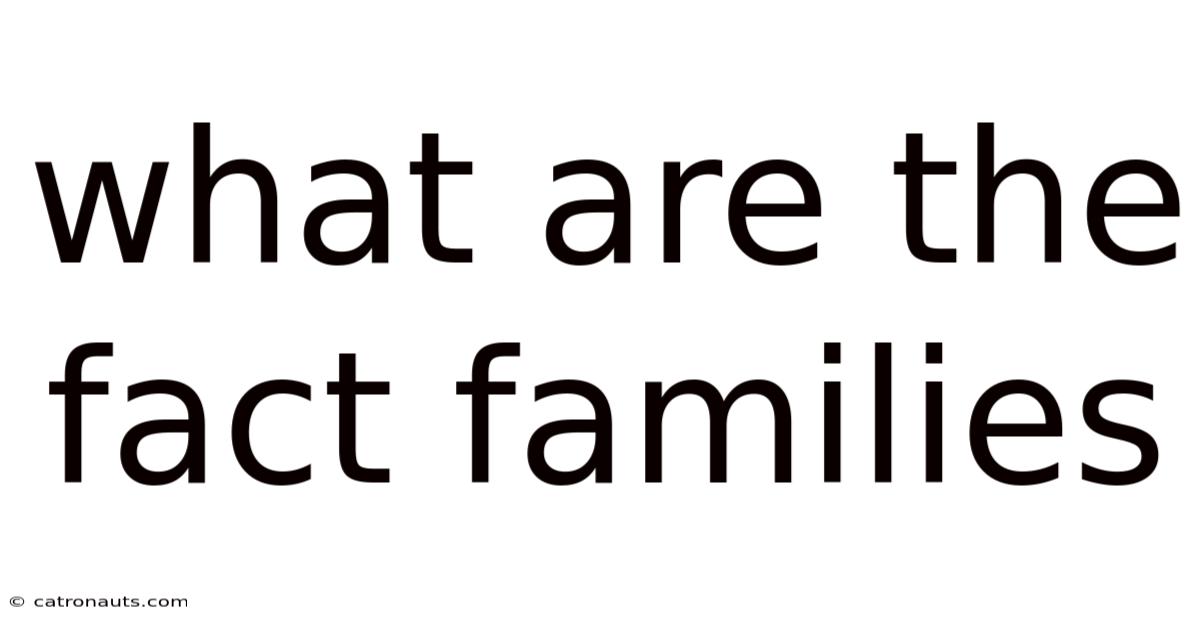 What Are The Fact Families