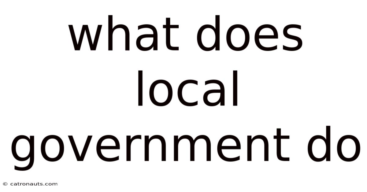 What Does Local Government Do