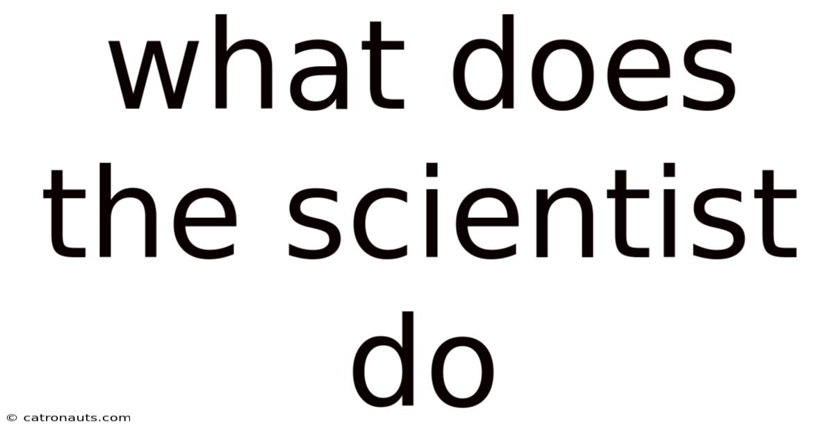 What Does The Scientist Do