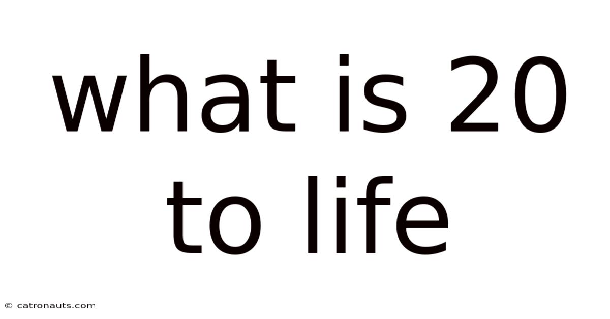 What Is 20 To Life