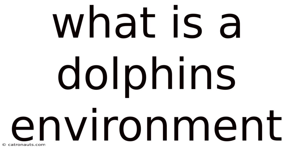 What Is A Dolphins Environment