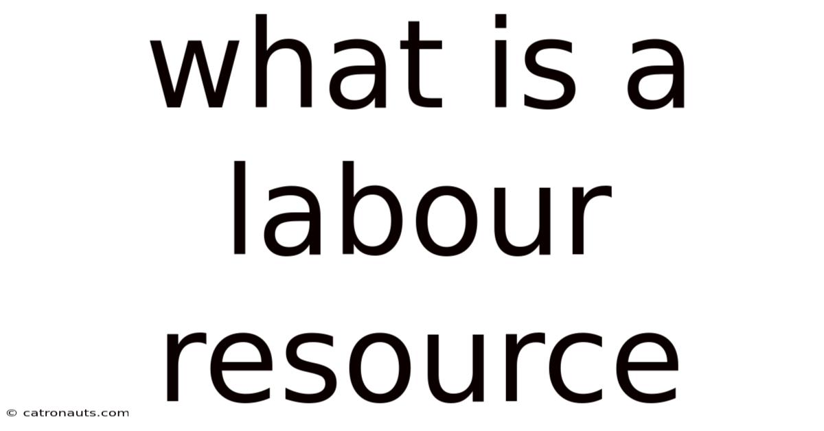 What Is A Labour Resource