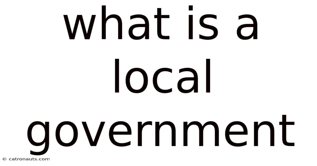 What Is A Local Government