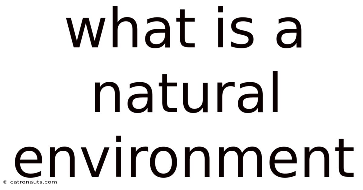 What Is A Natural Environment