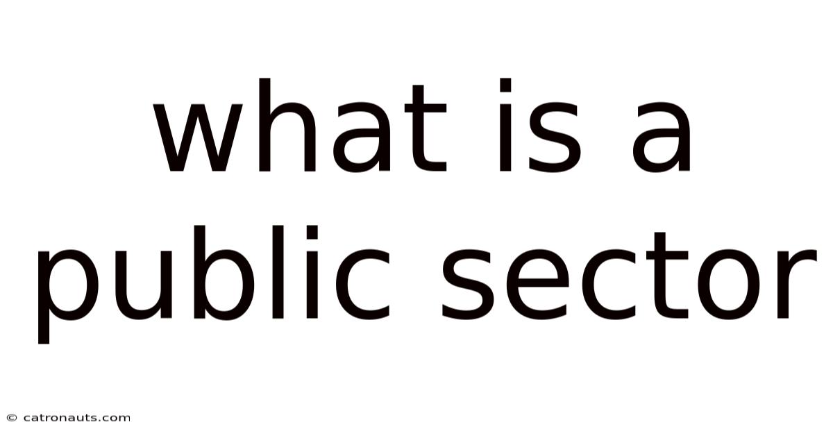 What Is A Public Sector