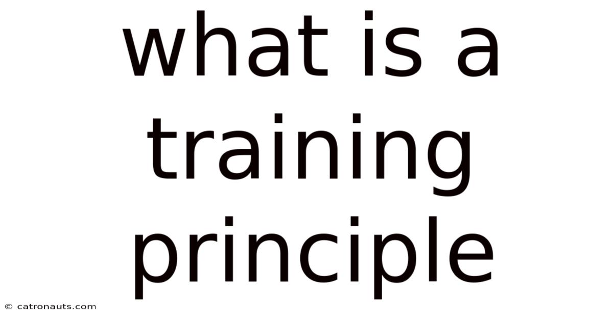 What Is A Training Principle