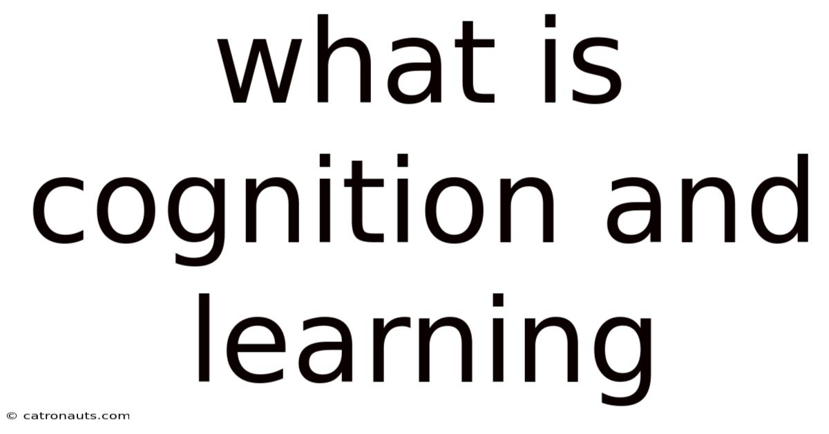 What Is Cognition And Learning