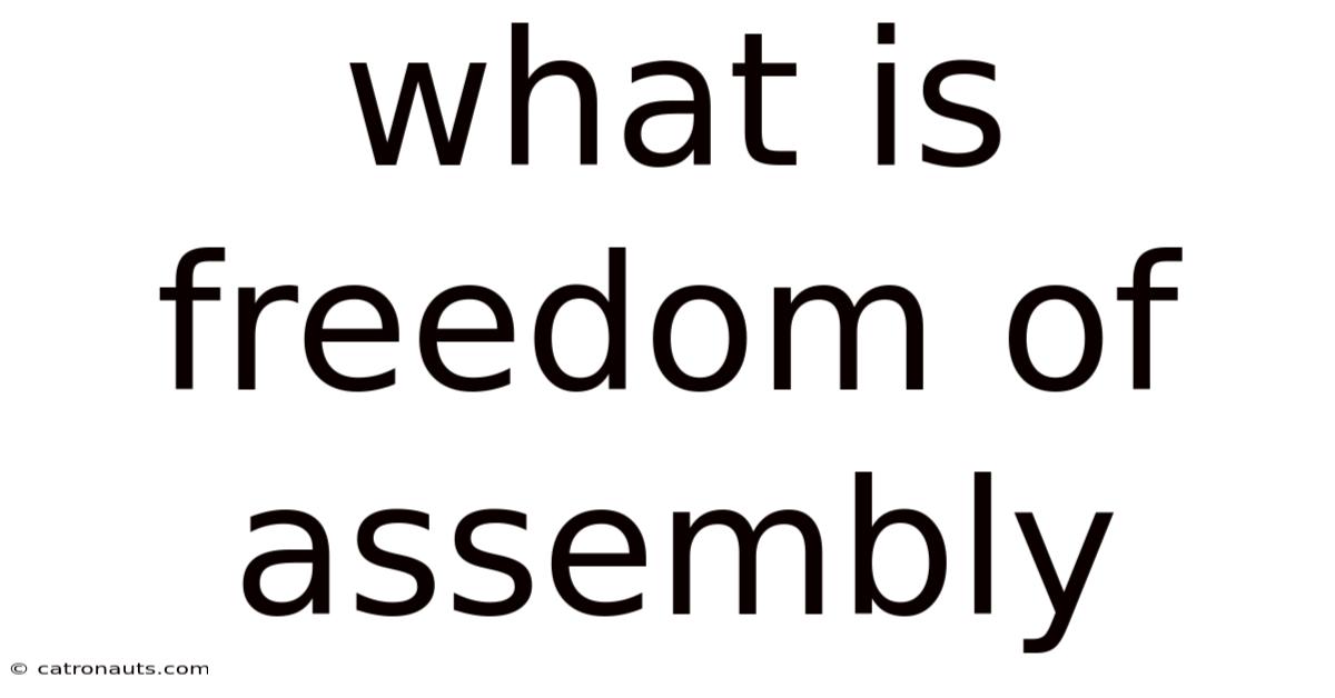 What Is Freedom Of Assembly