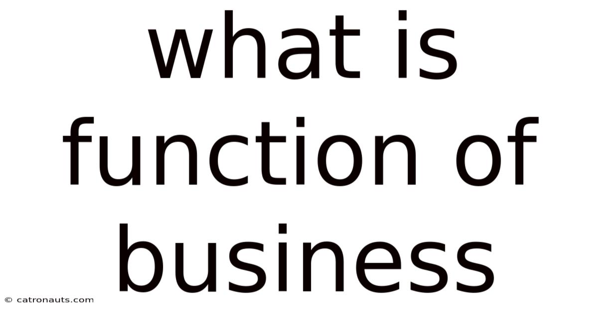 What Is Function Of Business