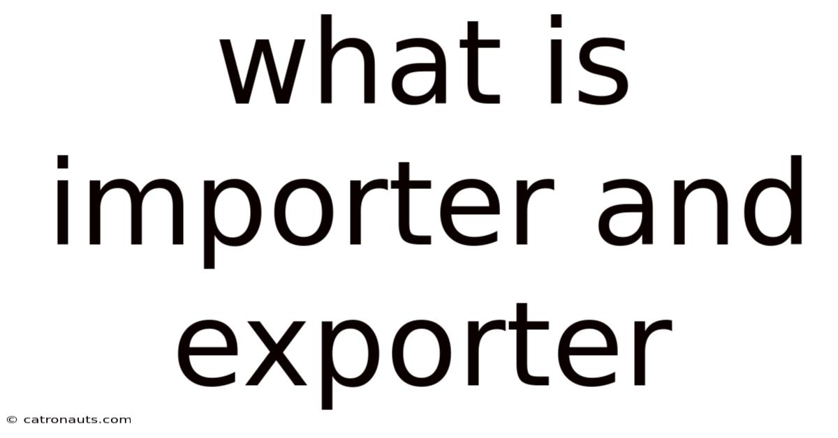 What Is Importer And Exporter