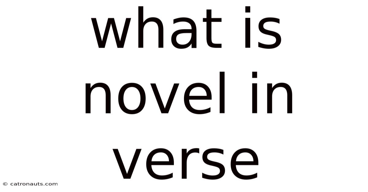 What Is Novel In Verse