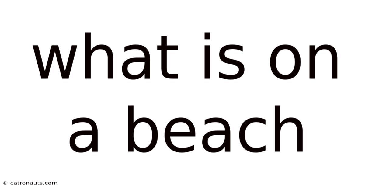 What Is On A Beach