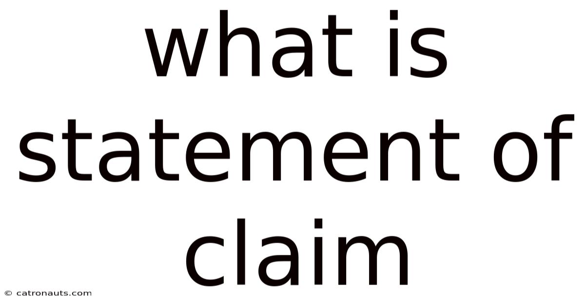 What Is Statement Of Claim