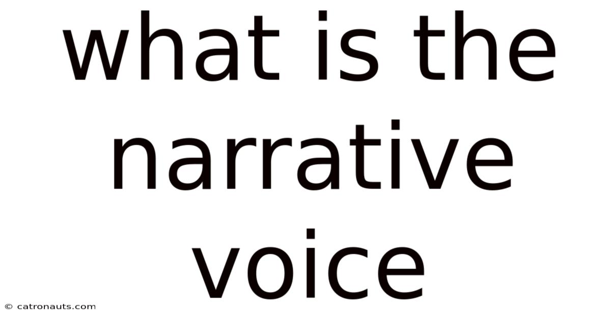 What Is The Narrative Voice
