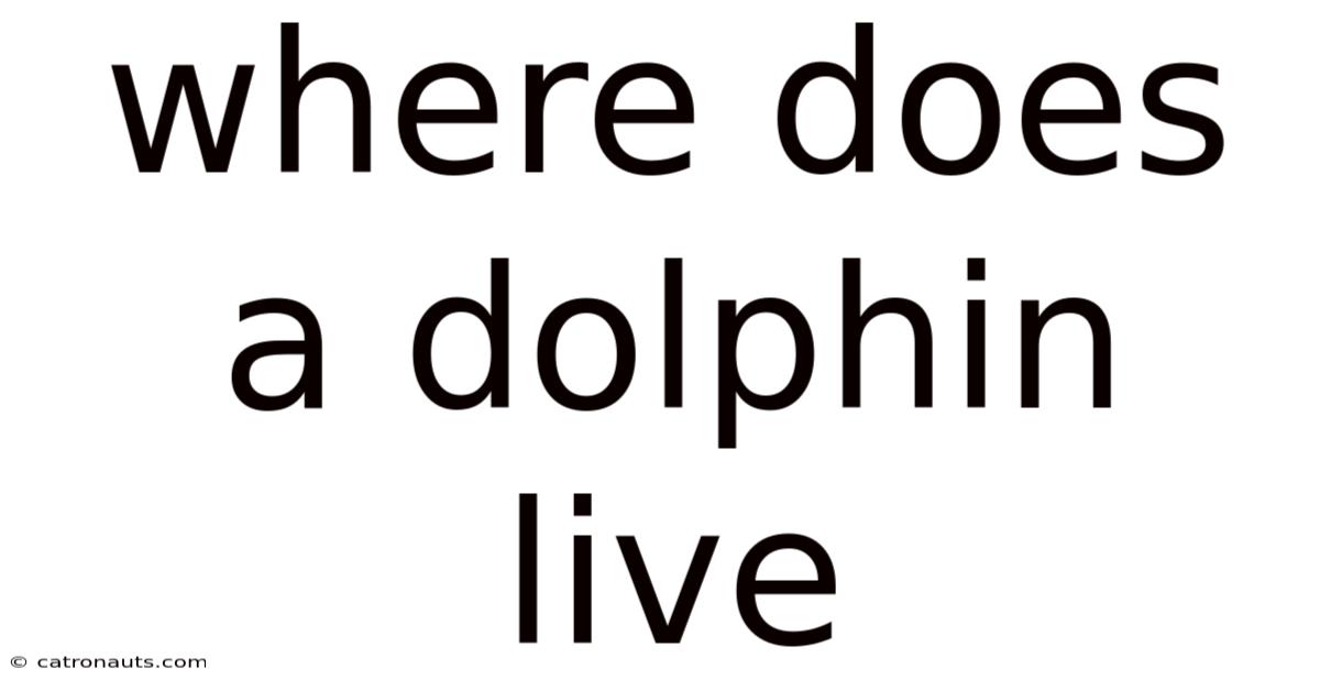 Where Does A Dolphin Live