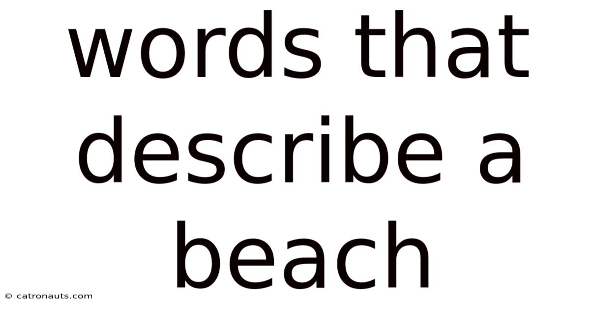 Words That Describe A Beach