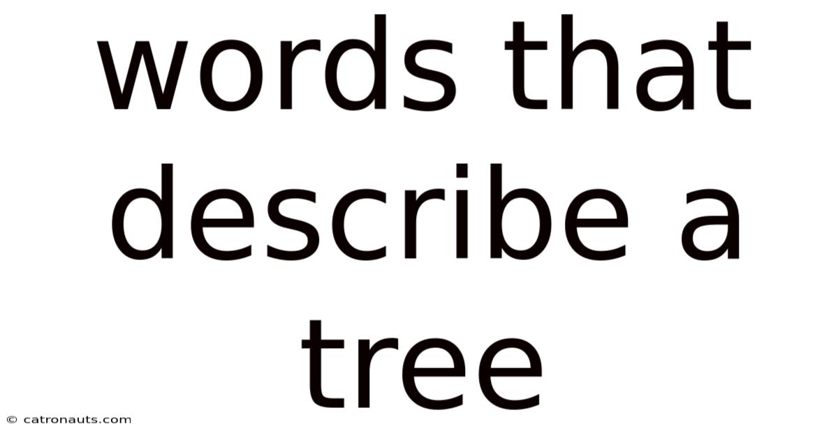 Words That Describe A Tree
