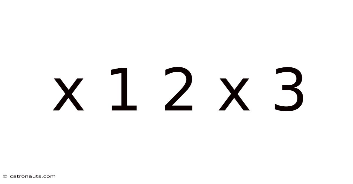 X 1 2 X 3